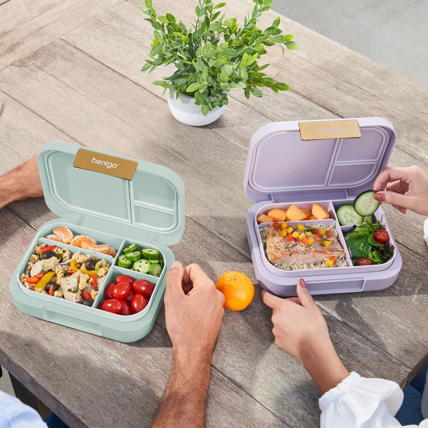 bentgo-modern-lunch-box-2-pack-r3 COSTCOBMCPRODUCTIMAGE_2.jpg